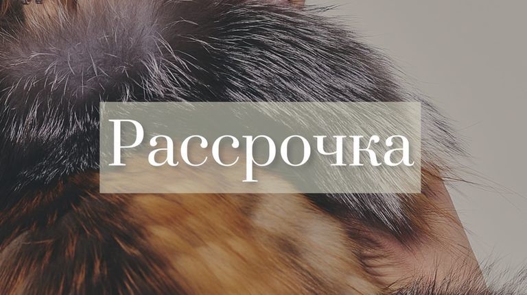 Беспроцентная рассрочка